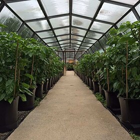 AutoPot 1Pot XL in tuinkas