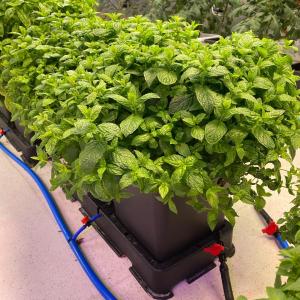 Alternative view of AutoPot Easy2Grow 20-Topf-System für automatische Bewässerung