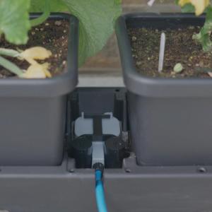 Easy2Grow Tablett AQUAvalve5