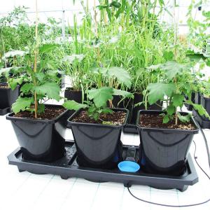 auto3 xl Schalensystem 25L Anlage