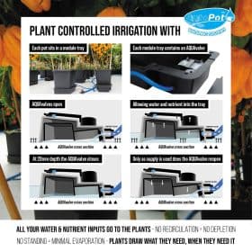 AutoPot AQUAvalve5 info