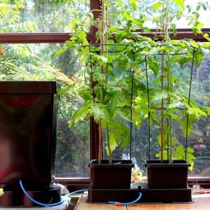 Alternative view of AQUAvalve5-Gehäuse, der untere Teil