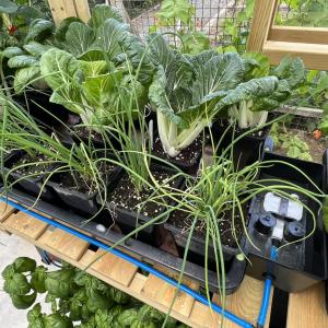 Tablett zum Anbauen von Aquavalven