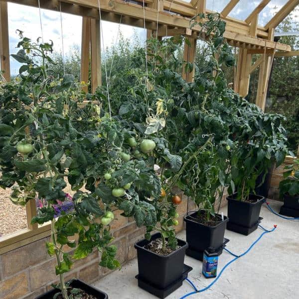 AutoPot_1Pot_grow (2)