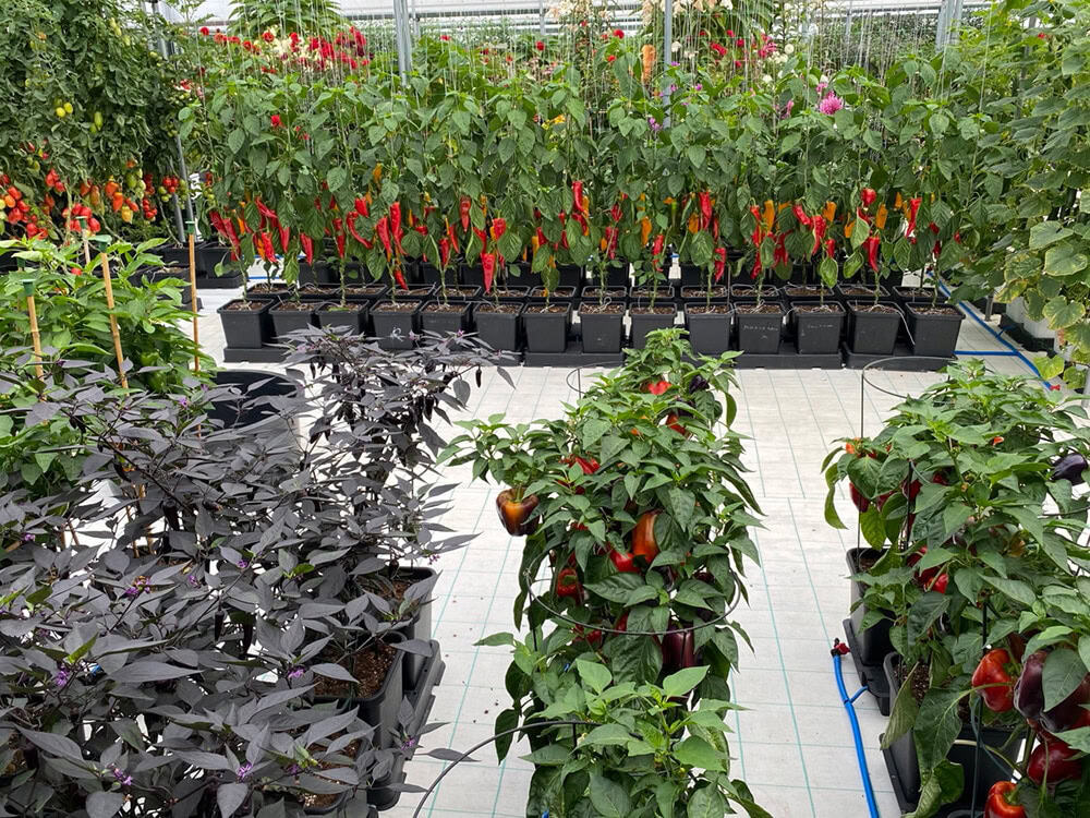 AutoPot_Produktreihe