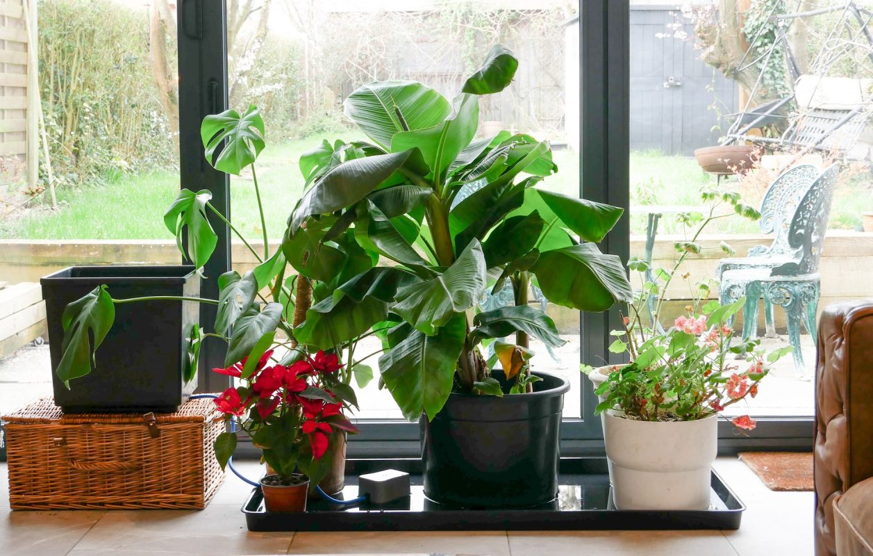 AutoPot_Urlaub_bewasserung