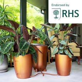 Ein Wohnbereich im Innenbereich mit drei Kupfer-Blumentöpfen, in denen tropische Pflanzen stehen, sichtbar durch eine Glaswand; in der oberen rechten Ecke befindet sich ein RHS-Gütesiegel.