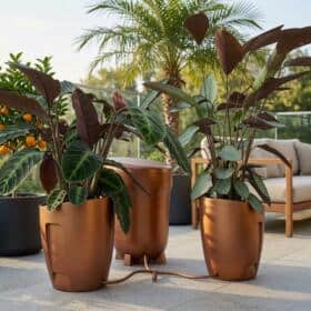 Khloris_kupfer_outdoor